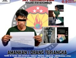 Tunggu Pembeli, “Egi” Keburu Ditangkap Polisi