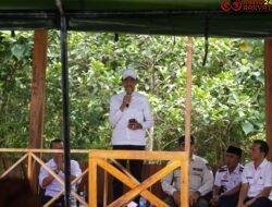 Dukung Program Pemkab Lima Puluh Kota, Bupati Safaruddin Puji Inovasi Sinar Senja Nagari Balai Panjang