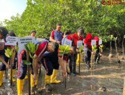 Bakamla RI Tanam 39.000 Bibit Mangrove di Batam