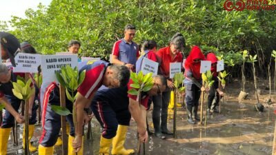 Bakamla RI Tanam 39.000 Bibit Mangrove di Batam/Humas Bakamla RI