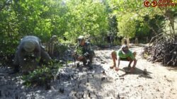 Penanaman Mangrove Kodim 1510/Sula: Langkah Konkret Menjaga Ekosistem Pantai dalam rangkaian Program TMMD Ke-123 di Desa Mangega/Puspen TNI