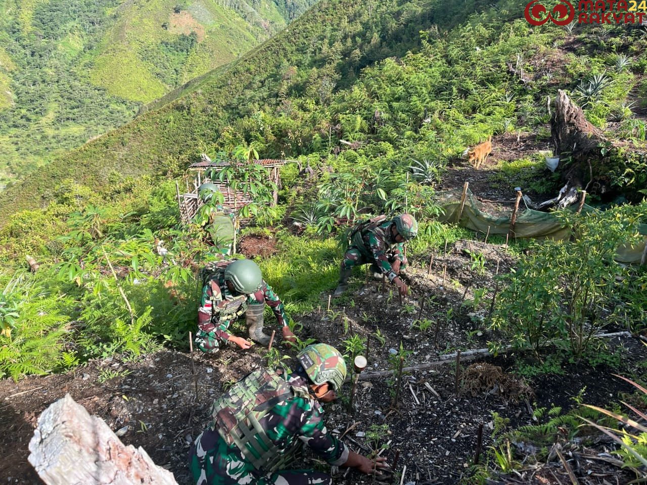 Satgas Yonif 715 Giatkan Program Ketahanan Pangan di Daerah Penugasan/Puspen TNI
