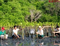 Carbon Offset Diuji Relevansinya, Ini Tanggapan Para Ahli