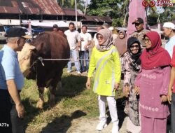 Wakil Bupati Dharmasraya, Serahkan Sapi Qurban Presiden RI dengan berat 1.2 Ton di Jorong Pasar lama