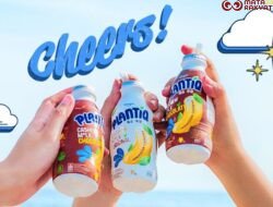 PLANTIQ Cashew Milk: Inovasi Susu Nabati Pertama dari Kacang Mede Asli Indonesia