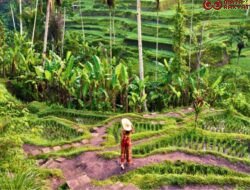 Rahasia Bali Jadi Ikon Pariwisata Berkualitas yang Mendunia!