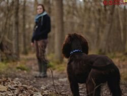 Tips Trekking ke Gunung Bareng Anjing Kesayangan