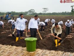 Wapres Gibran Tinjau Panen Raya Tebu dan Program Swasembada Gula di Kebun Jolondoro Banyuwangi