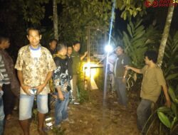 Beruang Madu Masuk Permukiman Warga di Nagari Sungai Abu Kab Solok, BBKSDA Sumbar Pasang Perangkap