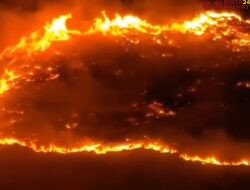 Kobaran Api di Puncak Gagoan Solok, Ratusan Hektar Lahan Hangus Terbakar