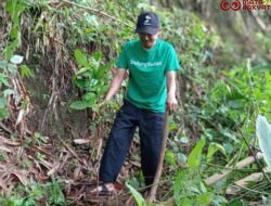 Tiga Lokasi Penanaman Paling Mendesak Tahun Ini: Wonogiri, Cilacap, Mempawah