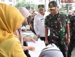 Sinergi TNI-Bulog Perkuat Ketahanan Pangan dan Kendalikan Harga
