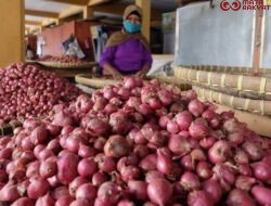 Harga Bawang Merah Melambung Tinggi Di pasar Dharmasraya Mencapai Rp 56 Ribu Per kilo