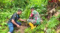 Satgas TMMD 125 Kodim 1506/Namlea Melaksanakan Tanam Bibit Pohon Keras Dengan Target 10.000 Pohon/Puspen TNI