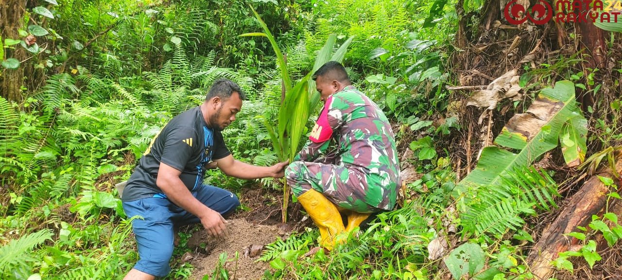 Satgas TMMD 125 Kodim 1506/Namlea Melaksanakan Tanam Bibit Pohon Keras Dengan Target 10.000 Pohon/Puspen TNI