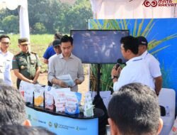Panglima TNI Kawal Langsung Panen Tebu Untuk Swasembada Gula Nasional