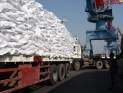 Semester I 2025, PTP Nonpetikemas Catat Kinerja Bertumbuh