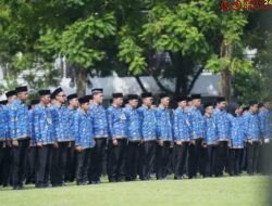 Status PPPK Paruh Waktu Dan Berapa Gajinya