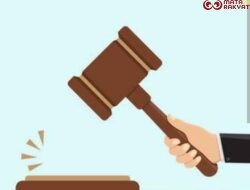Aktivis Sumut: Hukum Jangan Tumpul, Dugaan Panen Sawit Pasca Vonis Akuang Harus Ditindak Tegas