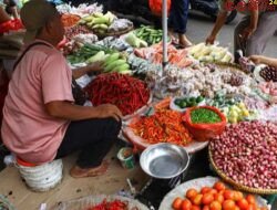 Harga cabe merah perkilo melambung tinggi mencapai Rp 100 Ribu Perkilo, di Pasar Pulau Punjung kabupaten Dharmasraya