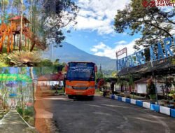 Diversifikasi Usaha, Holding Perkebunan Nusantara Optimalkan Kebun Karet Tak Produktif Jadi Agrowisata Edukatif