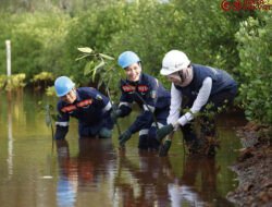 Pemerintah Dorong Tata Kelola Tambang Berkelanjutan