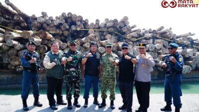 Kasum TNI Tinjau Keberhasilan Satgas PKH Amankan Ribuan Kubik Kayu Ilegal/Puspen TNI