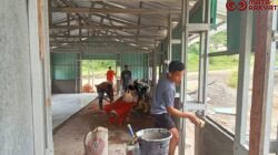 Satgas TMMD 126 Kodim Tambrauw Lanjutkan Perehaban Gereja di Tahap Dinding dan Pemasangan Keramik/Puspen TNI