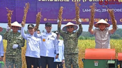 Panglima TNI Dampingi Menhan RI Tinjau Panen Kedelai Garuda Merah Putih di Lampung Utara/Puspen TNI