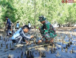 Satgas TMMD Kodim 1505/Tidore Galakkan Penanaman Mangrove di Oba Selatan