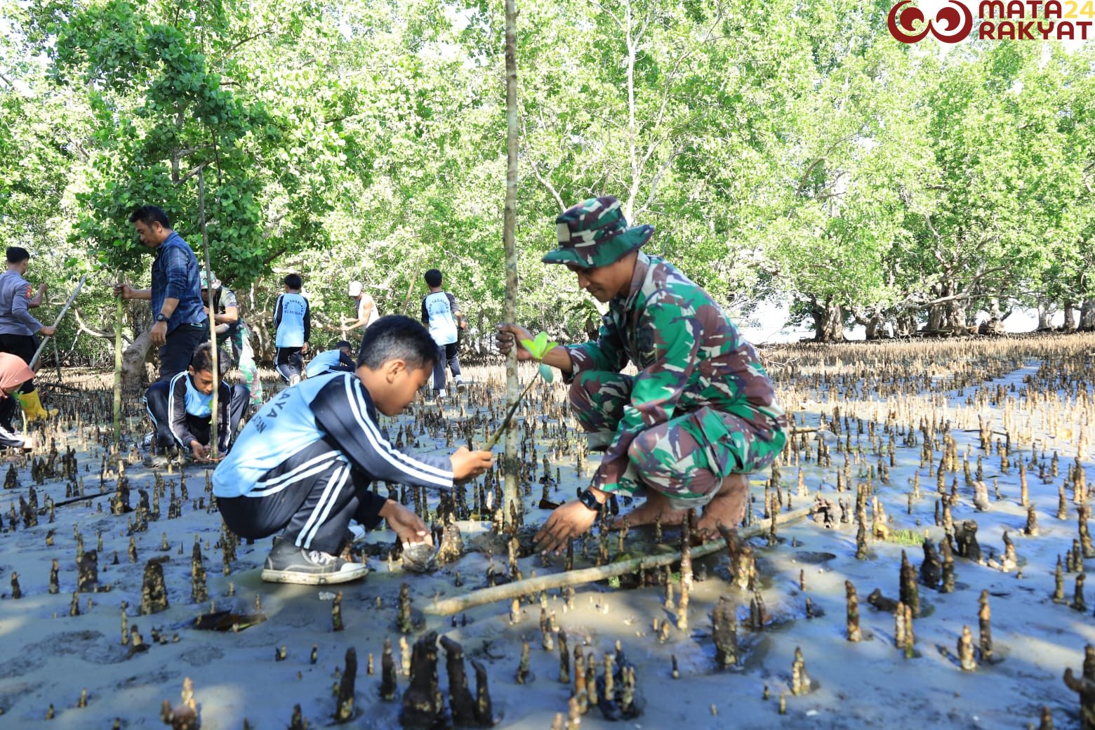 Satgas TMMD Kodim 1505/Tidore Galakkan Penanaman Mangrove di Oba Selatan/Puspen TNI