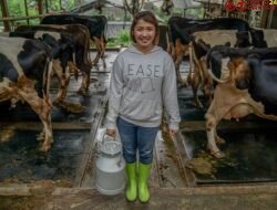 13 Tahun Rumah Energi: Merayakan Indonesia Yang Lebih Berdaya