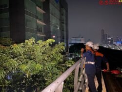 KAI Perkuat Keamanan Operasional LRT Jabodebek Lewat Perawatan Pepohonan di Sepanjang Jalur