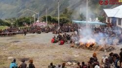 Kodim 1714/Puncak Jaya Bantu Masyarakat Gelar Acara Bakar Batu Adat di Kabupaten Puncak Jaya/Puspen TNI