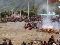 Kodim 1714/Puncak Jaya Bantu Masyarakat Gelar Acara Bakar Batu Adat di Kabupaten Puncak Jaya