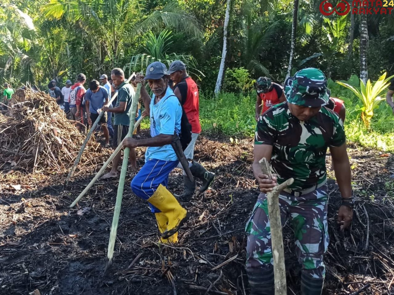 Satgas TMMD ke-126 Kodim 1505/Tidore Bersama Masyarakat Tanam Jagung di Lahan Ketahanan Pangan/Puspen TNI