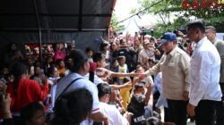 Panglima TNI Dampingi Presiden RI Pastikan Penanganan dan Pemulihan Bencana Terkendali/Puspen TNI