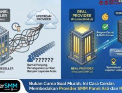 Hati-Hati Terkecoh Harga Murah, Begini Cara Cek Apakah Anda Beli Jasa Sosmed di Tangan Pertama