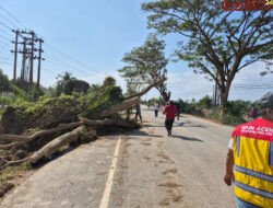 Kementerian PU Pastikan Pemulihan Tujuh Ruas Jalan Utama di Lintas Timur, Barat, dan Tengah Aceh