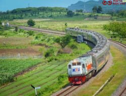 KAI Daop 1 Jakarta Catat Enam Kejadian Pohon Tumbang Sepanjang 2025, Seluruhnya Berhasil Ditangani dengan Cepat