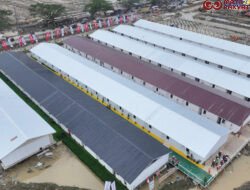 Danantara Berkolaborasi dengan PTPP Perkuat Pemulihan Pascabencana di Aceh Tamiang melalui Pembangunan Hunian Sementara