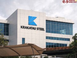 Krakatau Steel Dorong P3DN Hadapi Distorsi Impor Baja