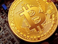 Pasar Aset Bitcoin Tetap Kokoh, Mengapa Penurunan Pasar Dapat jadi Sinyal Positif bagi Investor?