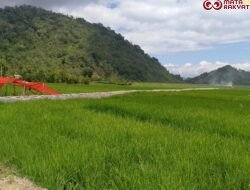 KMMJ Desak Audit Total Proyek BWS Sumatera VI–WIKA, Rizki Hamid: Jika Tidak Transparan, Kami Turun Aksi