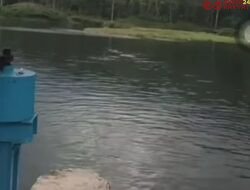 Remaja Tenggelam di Solok Selatan, Diduga Menerima Tantangan Saat Live Tiktok 