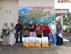 Pemko Payakumbuh Salurkan Benih Jagung untuk Pulihkan Pertanian Pascabencana