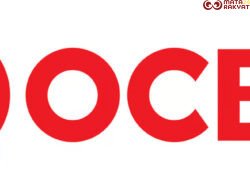 Dari FX hingga Obligasi, Ini Kunci OCBC Jadi Rising Star