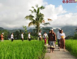 Maharasa Gastronomy Experience Angkat Spiritualitas Pangan dan Tradisi Luhur Bali