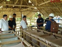 Perkuat Strategi Peningkatan Produksi dan Pengamanan Aset, Operational Strategic Advisory PTPN III (Persero) Kunjungi PTPN IV Regional VII