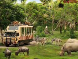 Taman Safari Indonesia Siap Dukung Transformasi Kebun Binatang Bandung sebagai Lembaga Konservasi Modern